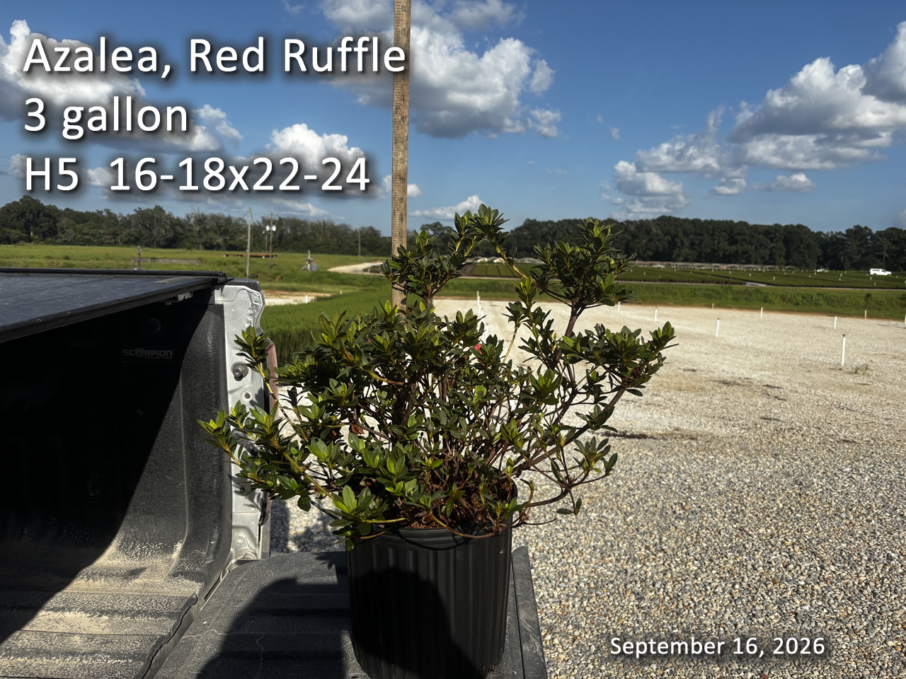 gallery/rr3 h5 sept16.jpg